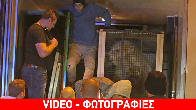 Γαλλία: Πρόσφυγες λαχτάρισαν όταν ήρθαν αντιμέτωποι με μια τεράστια πολική αρκούδα